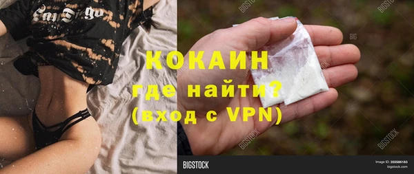 индика Лихославль