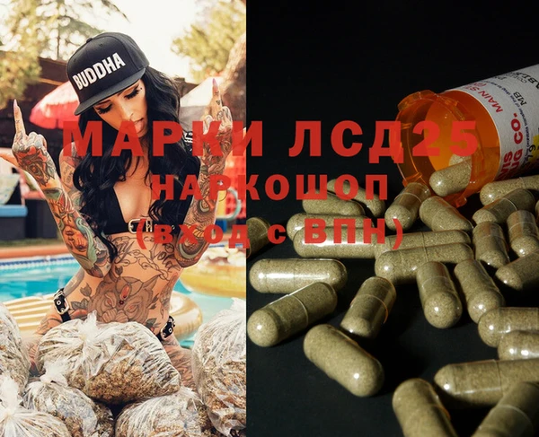 ГАЛЛЮЦИНОГЕННЫЕ ГРИБЫ Липки