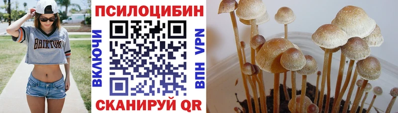 наркошоп  Узловая  Псилоцибиновые грибы Magic Shrooms 