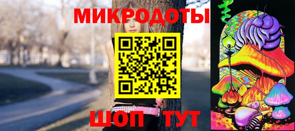 Псилоцибиновые грибы Psilocybe Узловая